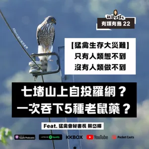 【有媒有鳥 22】猛禽為何一次吞下5種老鼠藥？