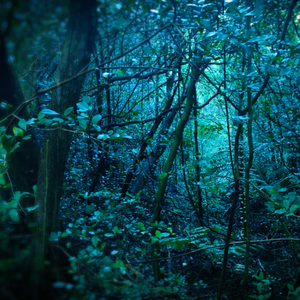 12 Hours Rain in Forest White Noise | Sleep, Study or Focus to Rainstorm