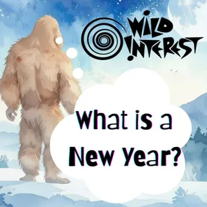 What is a New Year?