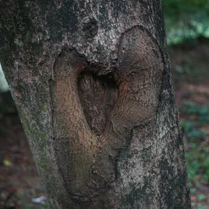 2. Terlambat