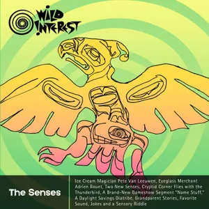 The Senses
