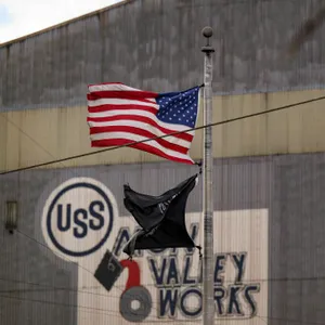 The President's Golden Share in U.S. Steel