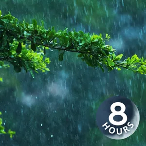 Jungle Rain Sounds for Sleep I White Noise Raining 8 Hours