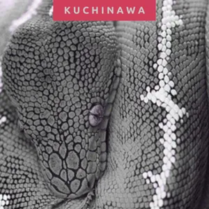 Kuchinawa