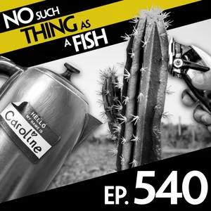 540: No Such Thing As The Three Gorgeous Dams