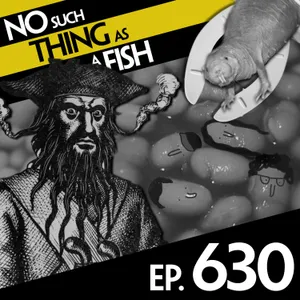 No Such Thing As The God of Snooze Buttons