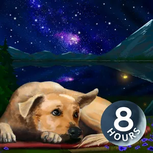White Noise for Dogs | Ease Separation Anxiety 8 Hours