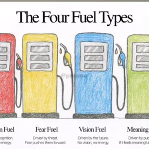 Sudah Lewat, Bahan Bakar, Kebiasaan