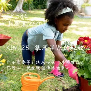 馬雅星球之旅｜EP586－【新創260】-KIN125銀河星系的紅蛇-你不需要等到跌入谷底，才喚醒自己  你可以，現在就選擇活過來。