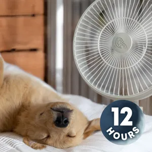 Relax Your Dog with White Noise Fan Sounds 12 Hours | Dog Tested, Dog Approved!