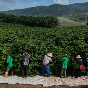 Brazil Braces for Trump's Tariffs. Brits Say Goodbye to Ozzy