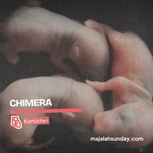 Kamisteri || Chimera