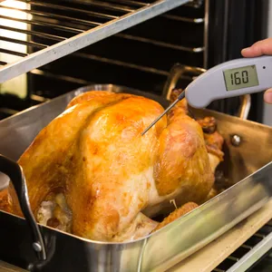 A beginner's guide to roasting a Thanksgiving turkey