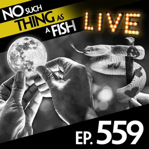 559: No Such Thing As Fishing In The Sea Of Tranquility