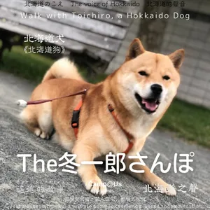 The 冬一郎さんぽ #66 　北海道犬《北海道狗》 北海道之聲