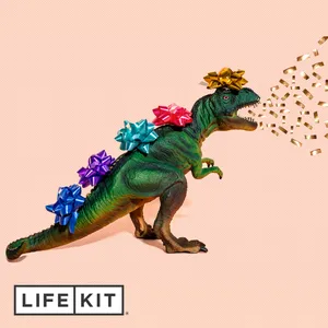Dear Life Kit: My family stresses me out around the holidays