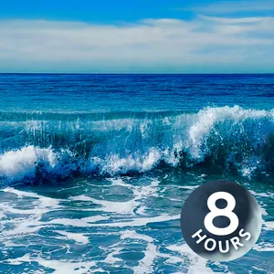 Deep Sleep Ocean Waves | 8 Hour Ocean Sounds for Relaxation & Sleeping