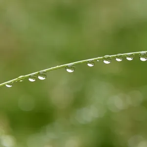 The Science Behind That Fresh Rain Smell