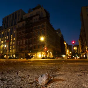 801: Must Be Rats on the Brain