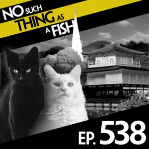 538: No Such Thing As A Sausage Cat