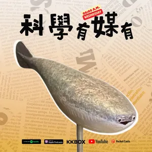 從一張迷因說起:下巴竟然這麼重要?|S8E11