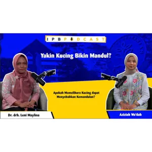 Apakah Memelihara Kucing dapat Menyebabkan Kemandulan?