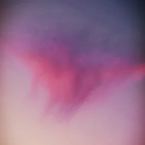 bingung yaa? antara mau lanjut apa berhenti