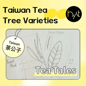 S5E4. Exploring Taiwan’s Unique Tea Tree Varieties