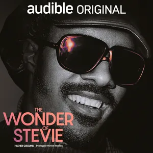 Music of My Mind from 'The Wonder of Stevie' 