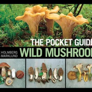 Download [ePub]] The Pocket Guide to Wild Mushrooms: Helpful Tips for Mushrooming in the Field #download