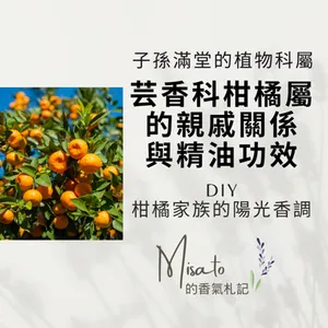 Ep158. 別再搞錯佛手柑的真實身分了！一次釐清芸香科柑橘屬精油家族到底是什麼關係，看清楚英文品名再購買唷！