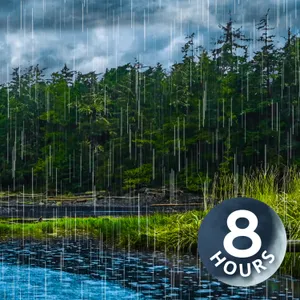 Soothing Stream & Rain Sounds for Sleeping | 8-Hour White Noise