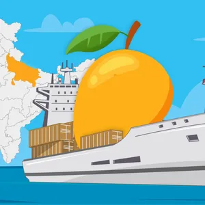 Can UP save India’s Mango exports?