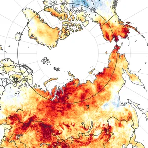 How Record Heat In Siberia Is Messing With...Everything