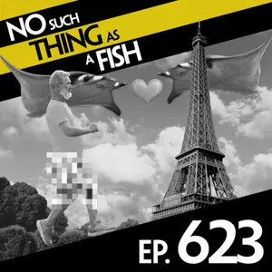 No Such Thing As Magical Fox Phishing