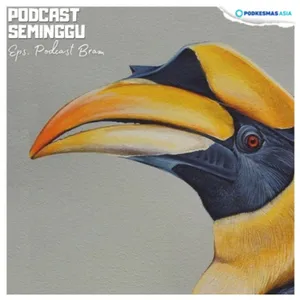 Episode Podcast Bram