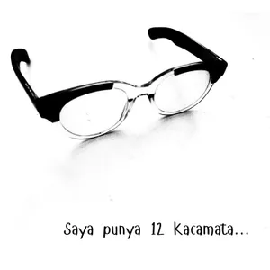 Saya Punya 12 Kacamata