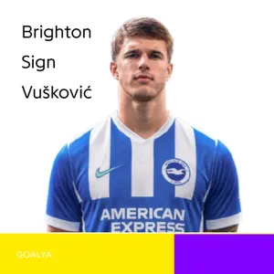 The £50m Teenage Giant: Luka Vušković’s Historic Move to Brighton