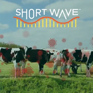 The Biggest Health Stories of 2024