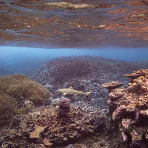 Pacific marine monuments lose environmental protections
