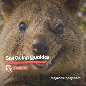 Kamisteri || Hewan Qoukka