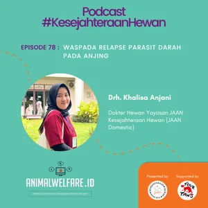 Eps 78 - WASPADA RELAPSE PARASIT DARAH PADA ANJING