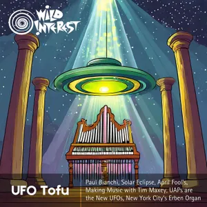 UFO Tofu