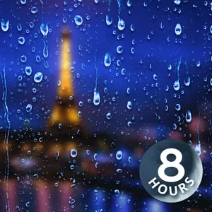 Can't Sleep at Hotels? | Try This 8 Hour Rain Sound to Fall Asleep! 