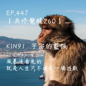 馬雅星球之旅｜EP447－【共修覺醒260】-KIN91宇宙的藍猴-風暴後看見的，就是人生只不過是一場遊戲。