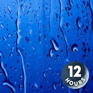 Doze Off to Sleep with Relaxing Rain Noise | 12 Hours