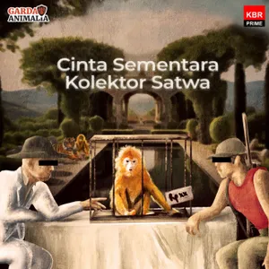 Cinta Semu Sang Tuan