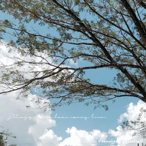 Ditinggalkan demi orang lain.