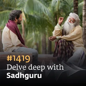 #1419 - The Essence of Education