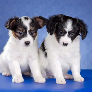 233: Starting From Scratch